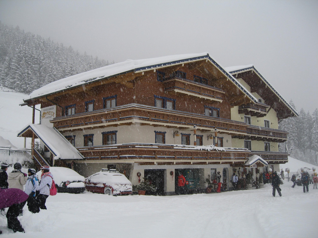Lahn酒店住宿-Pension Sonneck