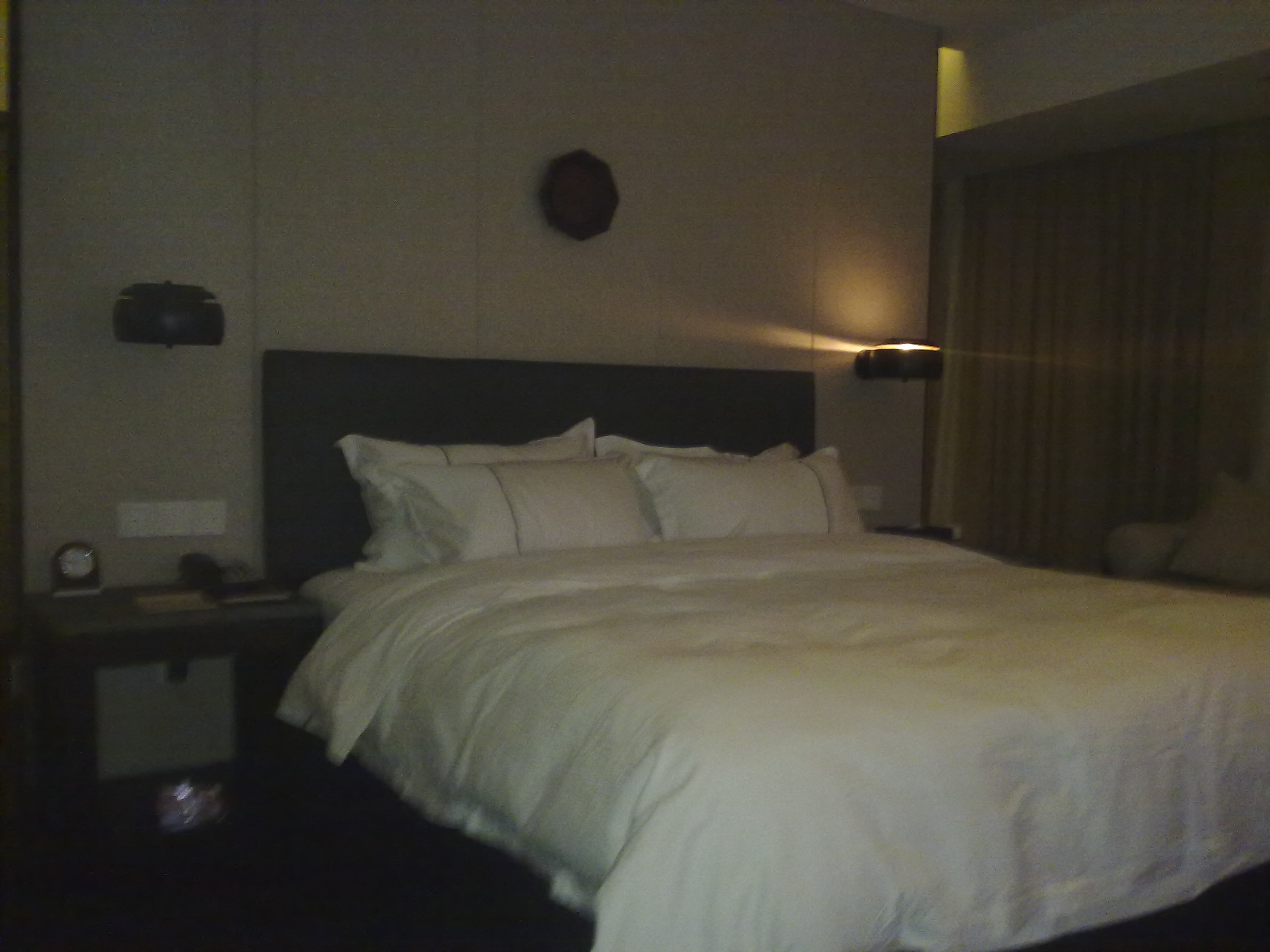 绿谷明珠精品大酒店-客卧