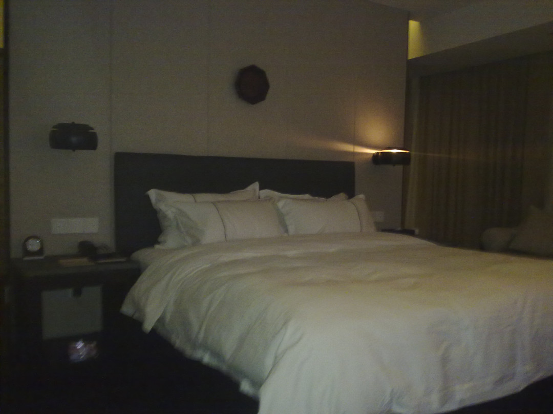 绿谷明珠精品大酒店主图