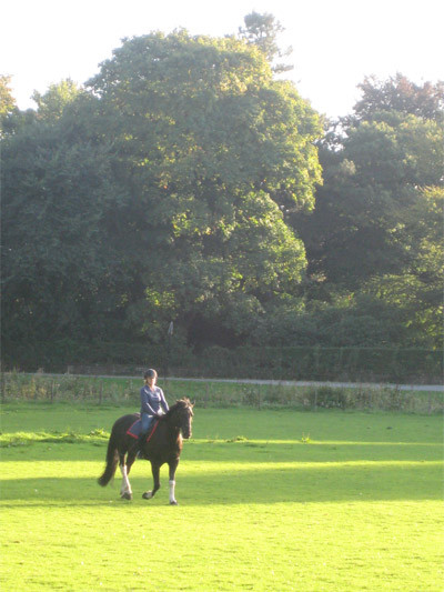 Croxteth Park Riding Centre-利物浦必去景点