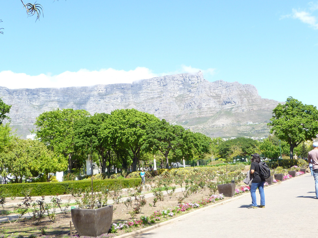 Company's Gardens-开普敦中心区必去景点