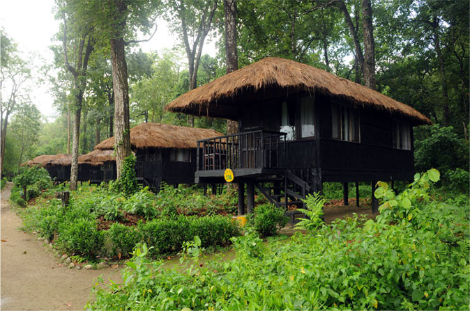 Temple Tiger Jungle Lodge