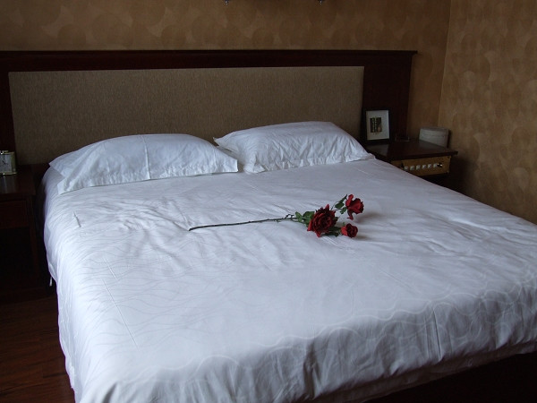 锡林浩特大酒店主图