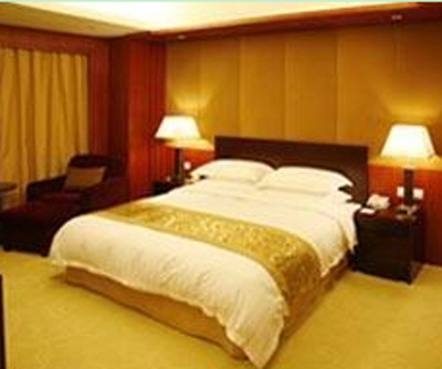金九龙大酒店-客卧