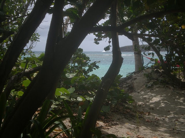 弗拉门戈海滩-库莱布拉岛必去景点