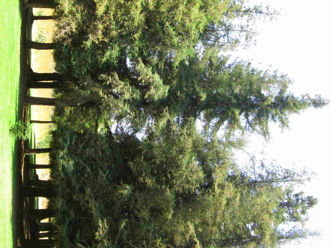 Carbon Canyon Regional Park-Brea必去景点