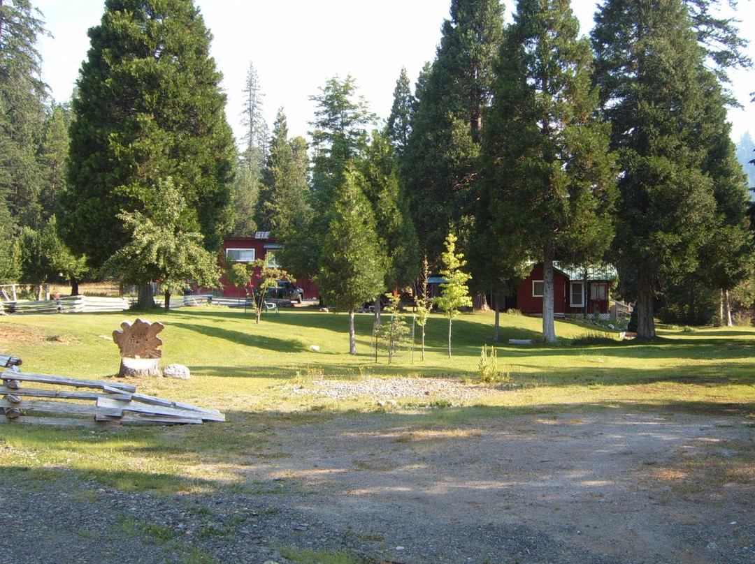 Sunflower Cabins