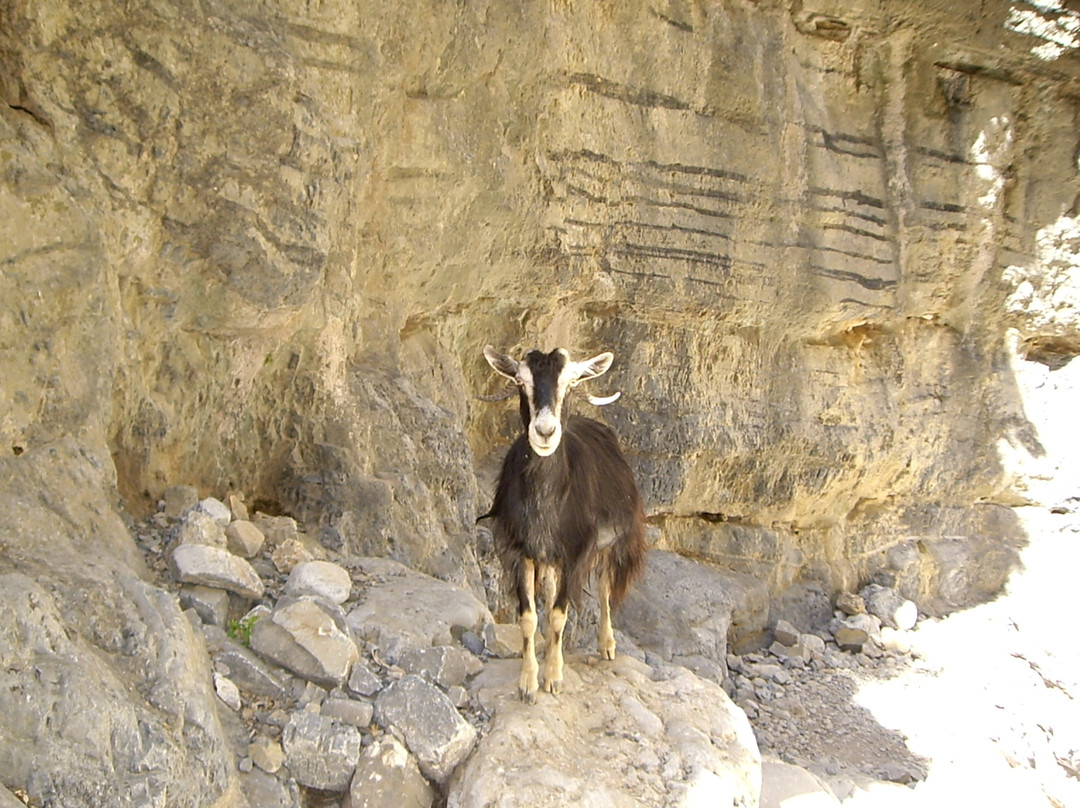 Imbros Gorge-克里特岛必去景点