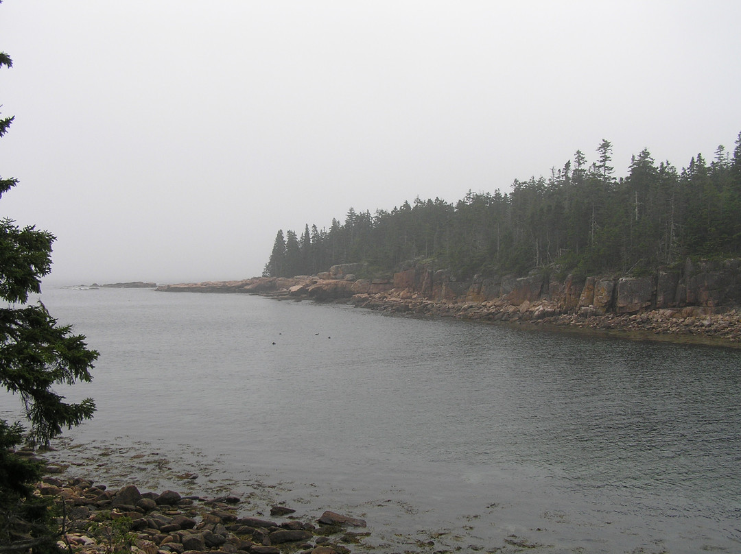 Ship Harbor Nature Trail景点图片