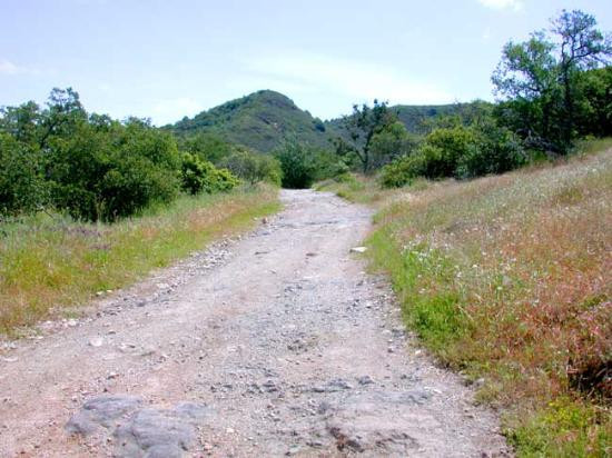 Skyline Wilderness Park景点图片