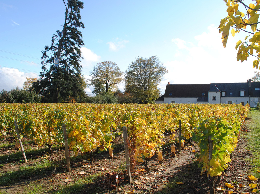 Domaine du Clos de l'Epinay景点图片