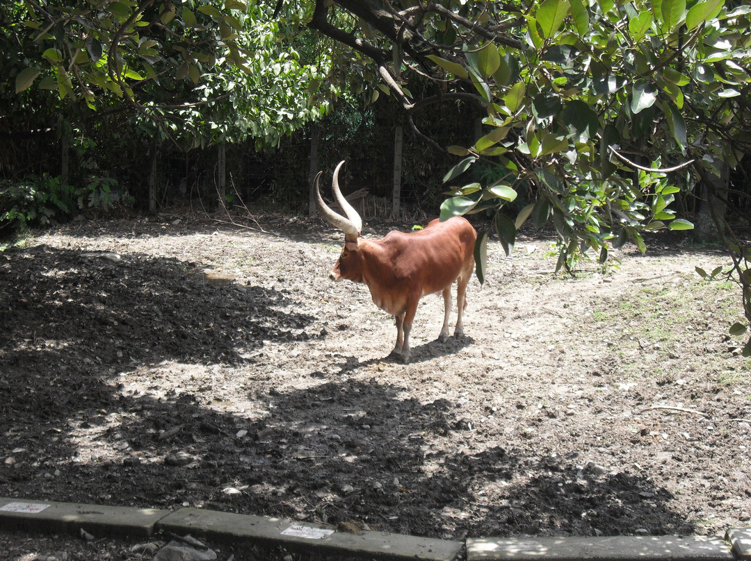 Parque de la Conservación-麦德林必去景点