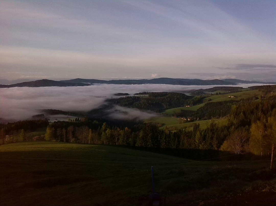 Bichlbauer
