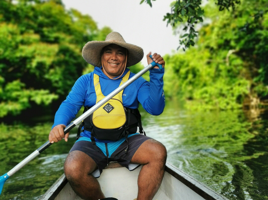 Kayak Mangrove Martinique-圣吕斯必去景点