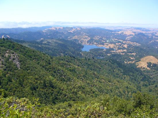 Mount Tamalpais State Park景点图片