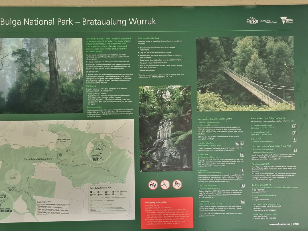 Tarra-Bulga National Park-Balook必去景点