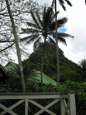 威美亚山谷-哈雷瓦必去景点