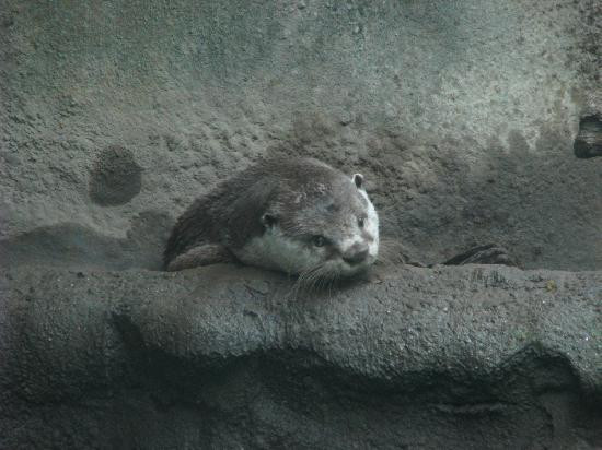 托莱多动物园-托莱多必去景点
