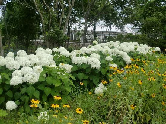 Michi-no-eki Kobe Fruit Flower Park Osawa-神户市必去景点