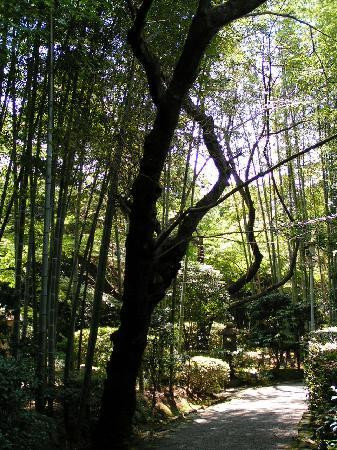 Urakuen Garden-犬山市必去景点