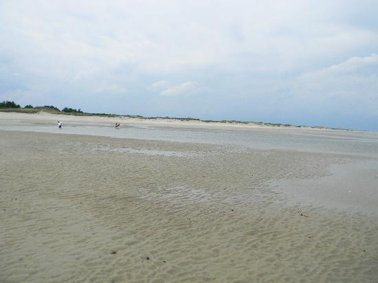 Parker River National Wildlife Refuge-纽伯里波特必去景点