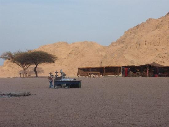 Star Gazer Night-沙姆沙伊赫必去景点