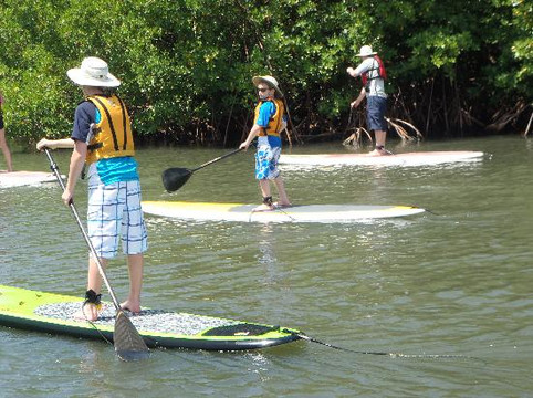Vieques Paddleboarding-维切克岛必去景点