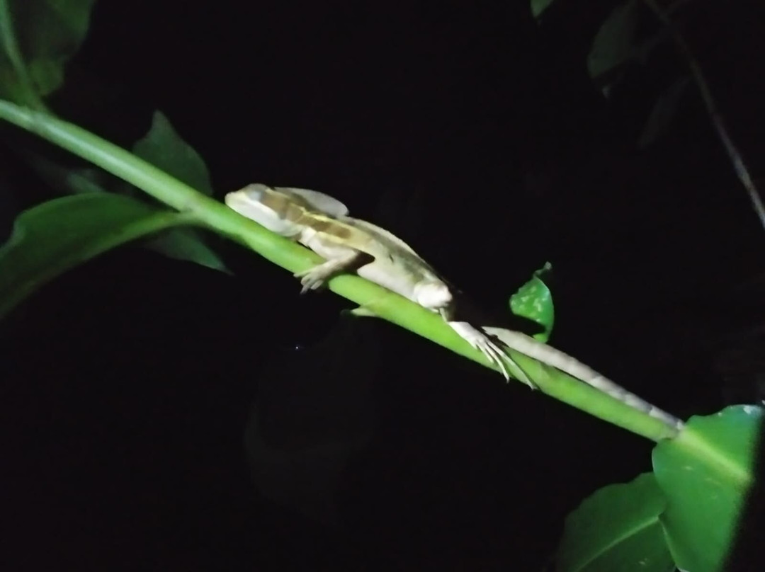 DON CHICO TOURS-托图杰多必去景点