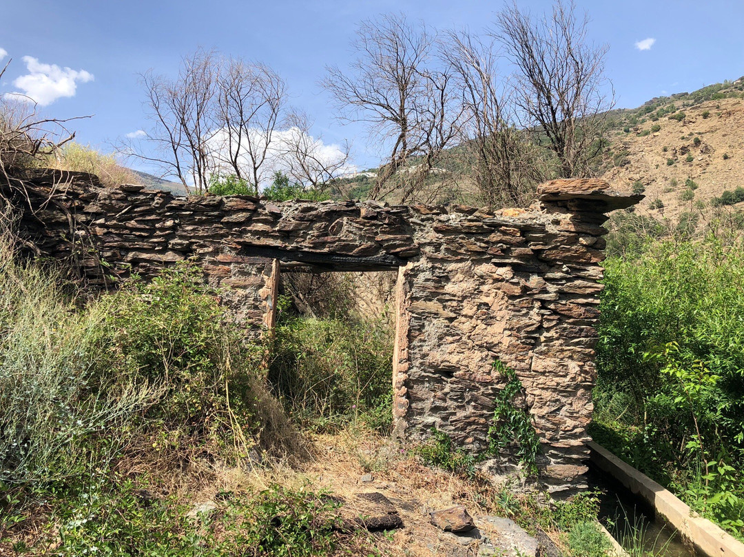 Capileira Mountain Trail景点图片