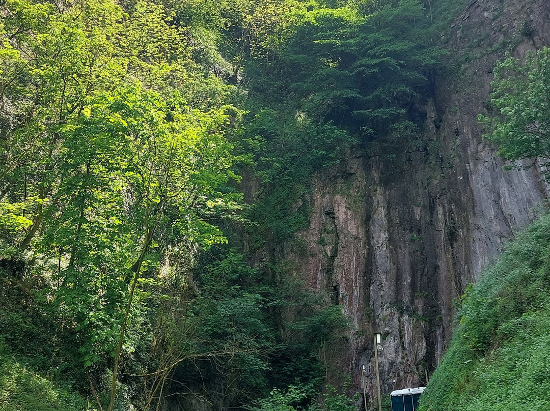 Peak Cavern景点图片