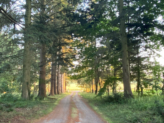 Manoir de Pommery主图