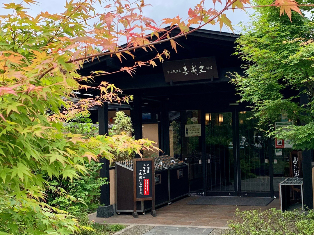 Miyazawako Onsen Kirari, Annex-饭能市必去景点