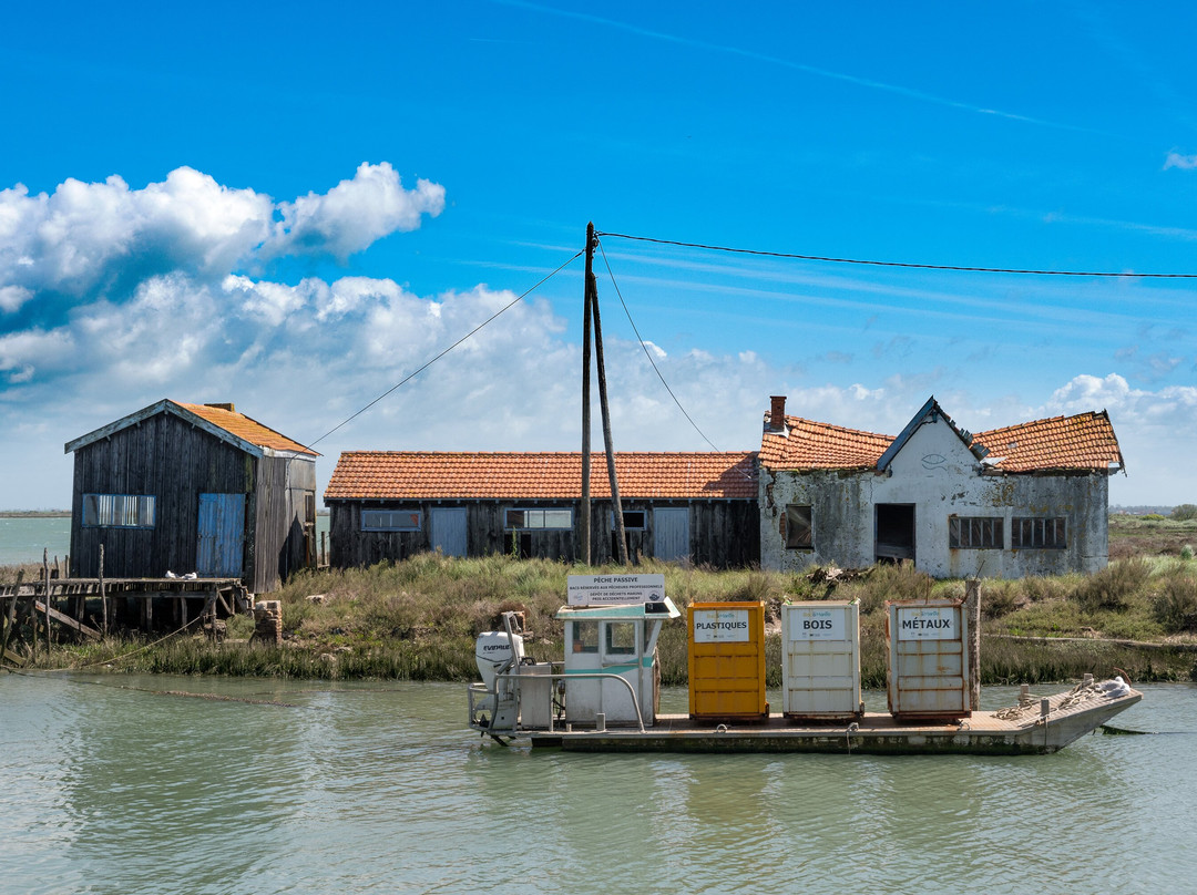 Port de la Grève景点图片