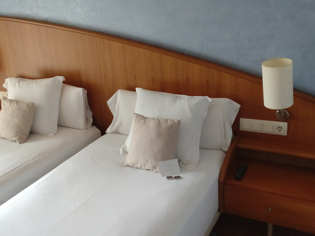 Hotel Delfin主图