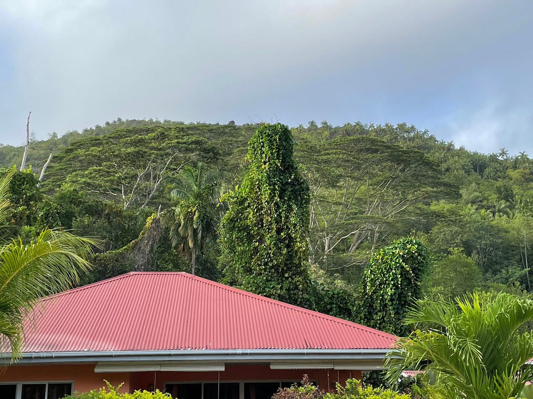 Anse La Mouche旅游攻略图片