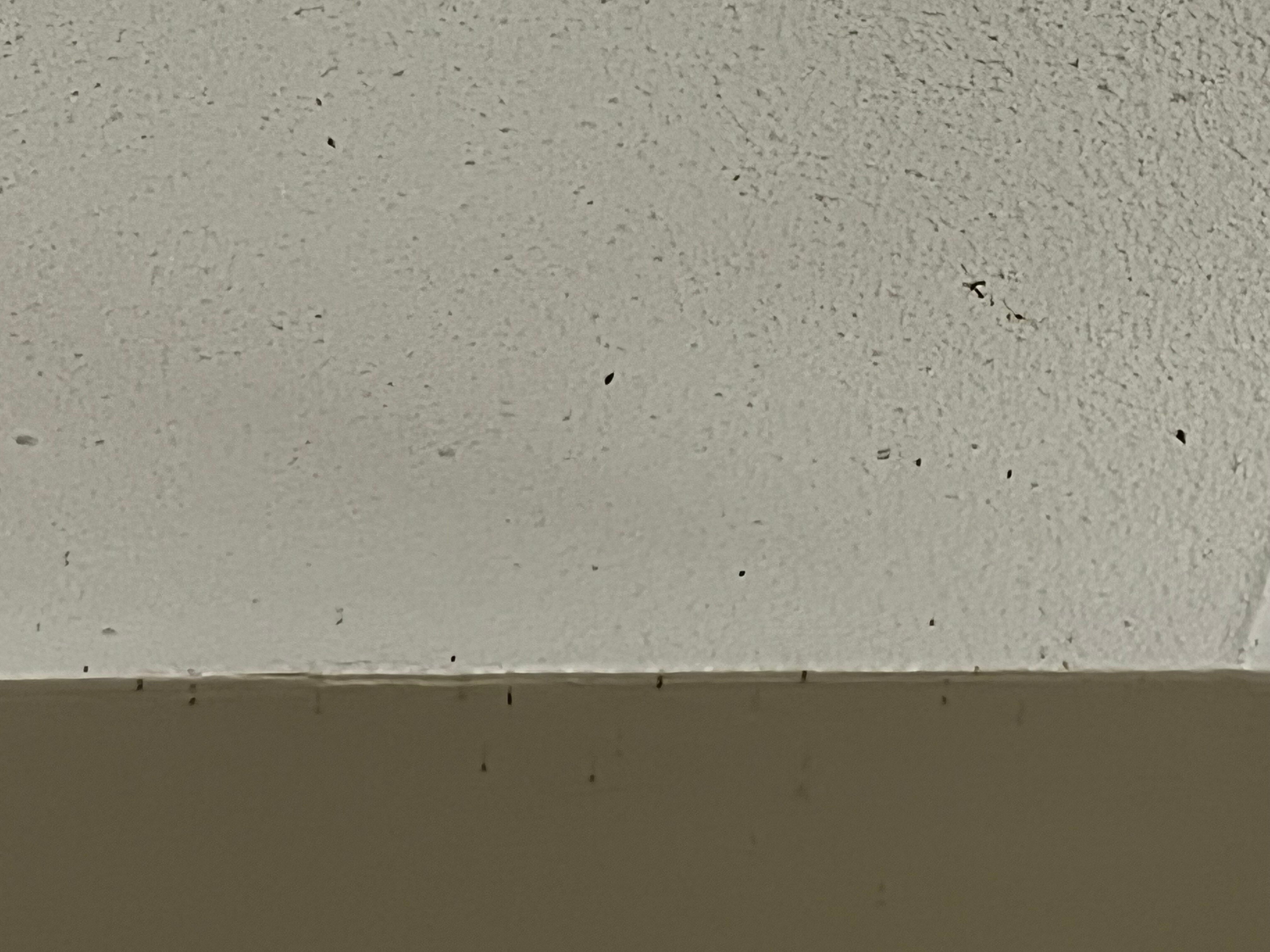 Hôtel de la Rive-客卧