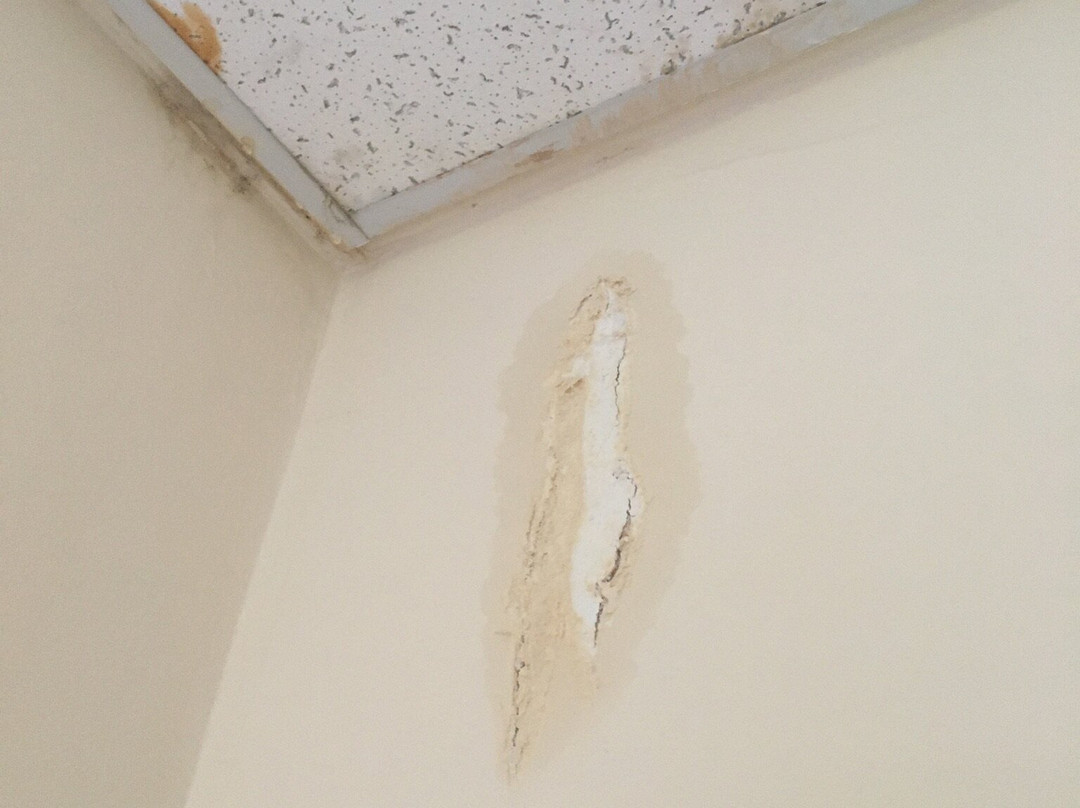 Lancaster University Guest Rooms主图