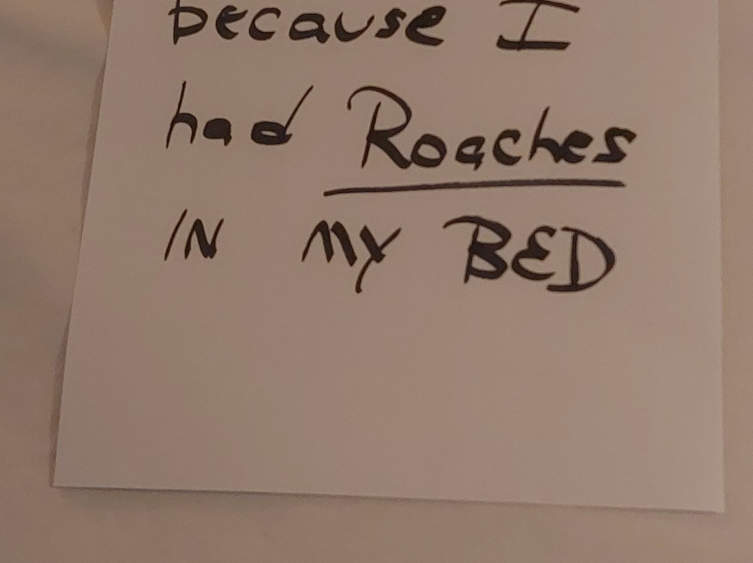 Red Carpet Inn Terre Haute