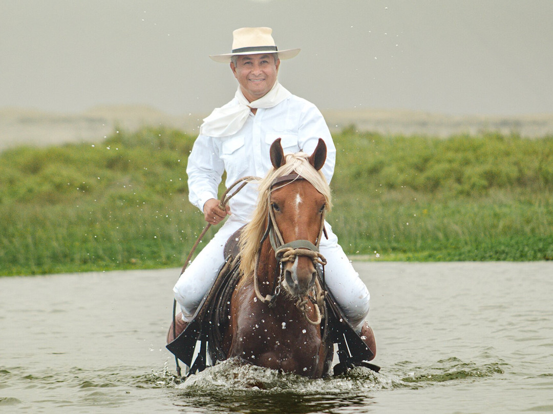 Cabalgata en caballo peruano de paso