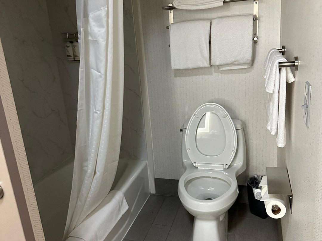 Holiday Inn Kansas City - Downtown By IHG主图