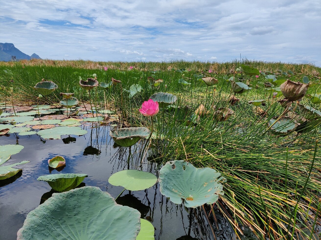 Bueng Bua Nature Observation Center-三百岭必去景点