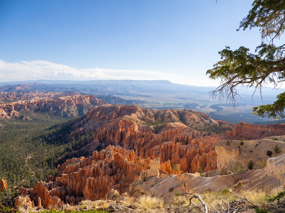 Canyon Fever Guides-布莱斯峡谷城必去景点