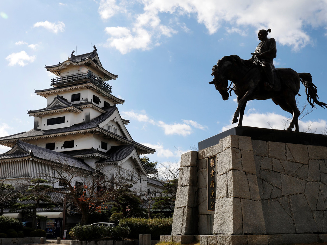 Imabari Castle景点图片