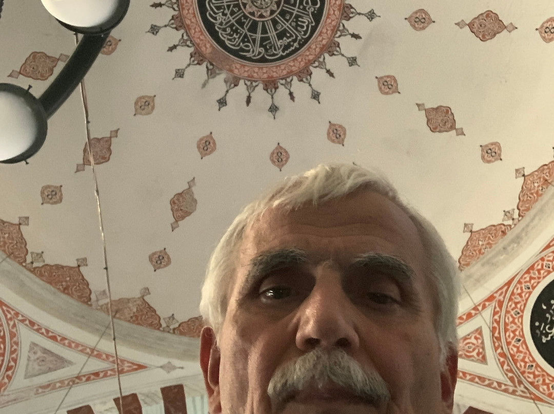Sokullu Mehmet Pasa Camii景点图片