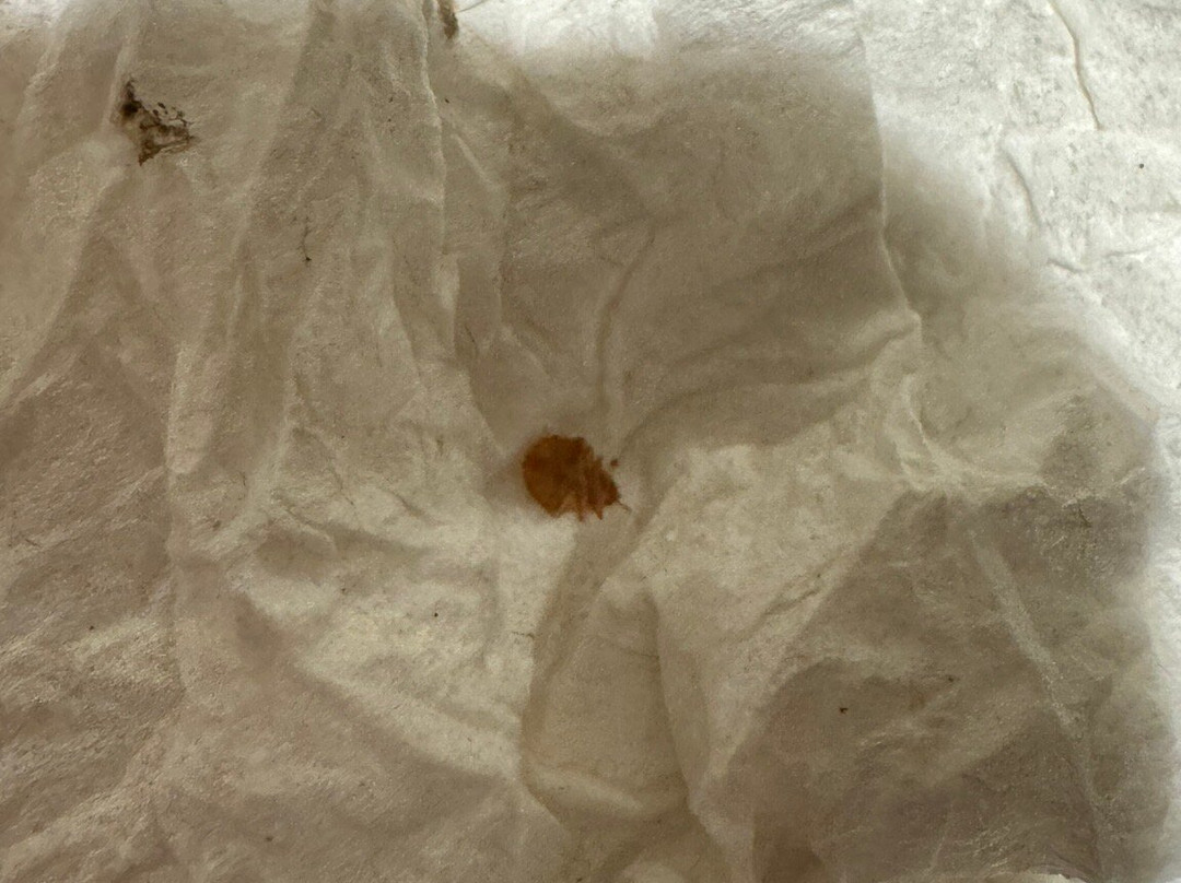 Comfort Inn & Suites Sharonville - Cincinnati North主图