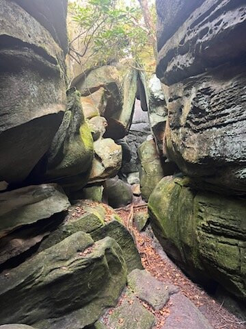 The Channels Natural Area Preserve-弗吉尼亚必去景点