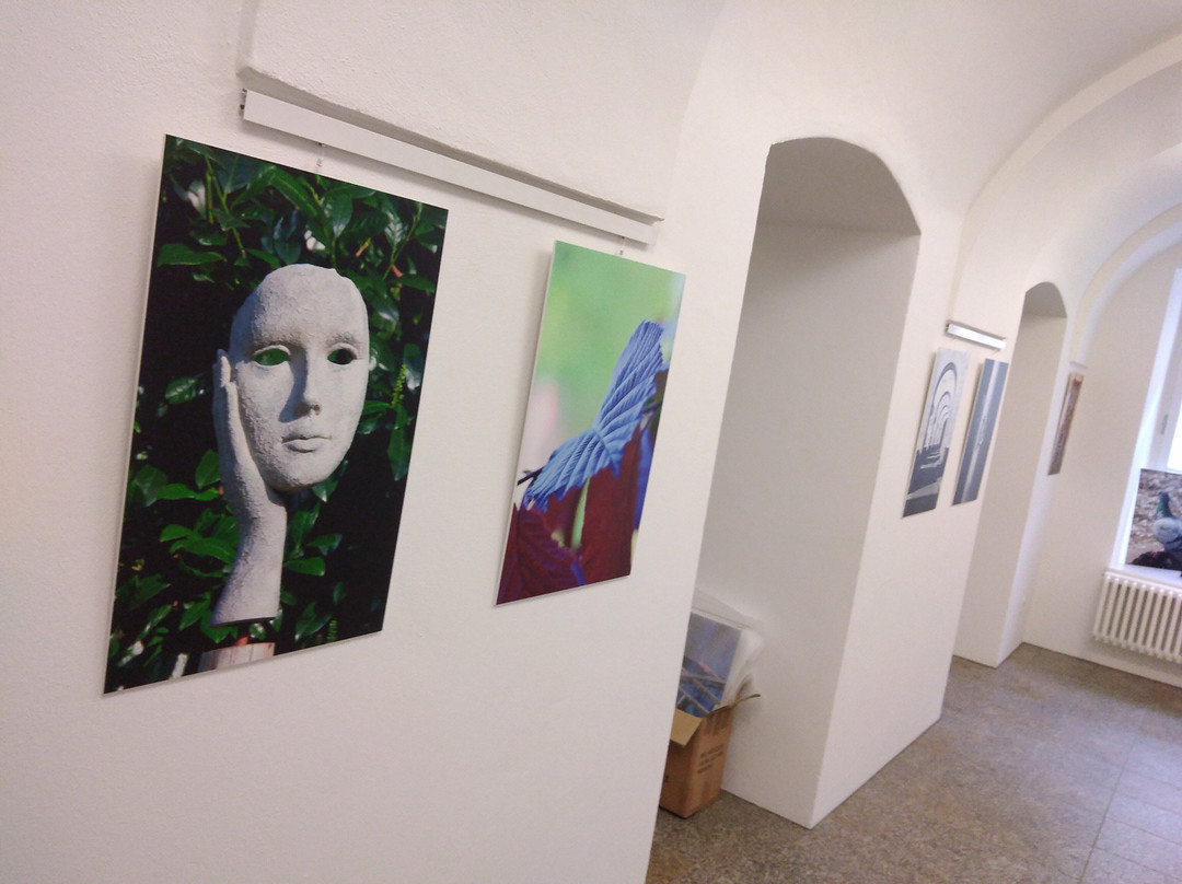 Rathausgalerie - Vilshofen an der Donau景点图片