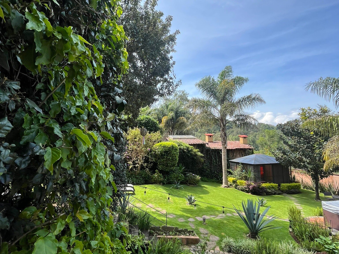 Las Luciérnagas主图