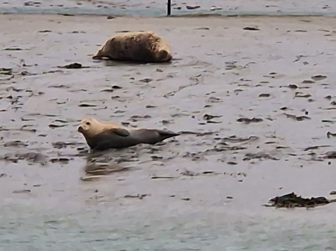 Chichester Harbour Water Tours景点图片