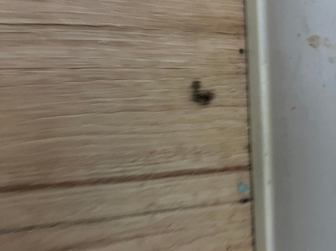 Red Roof Inn Lansing West - MSU主图